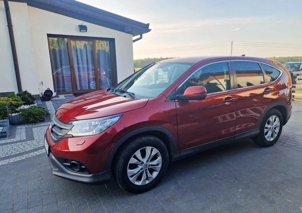 Honda CR-V cena 54000 przebieg: 187000, rok produkcji 2014 z Złoczew małe 137